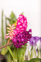 Similar image 19199865