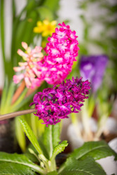 Similar image 19199871