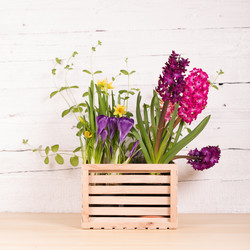 Similar image 19199874