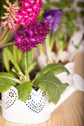 Similar image 19199877