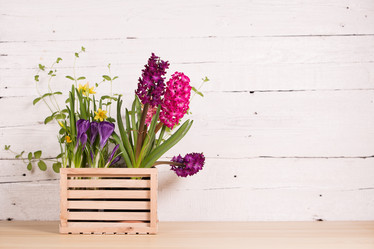 Similar image 19199880