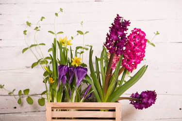 Similar image 19199883