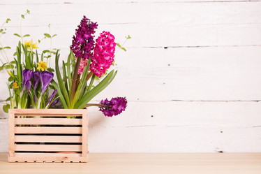 Similar image 19199886