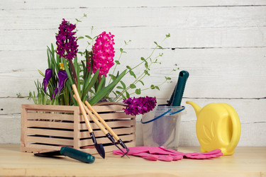 Similar image 19199889