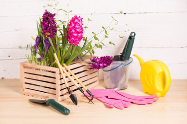 Similar image 19199891