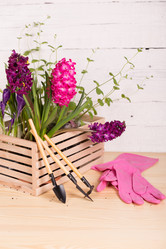 Similar image 19199894