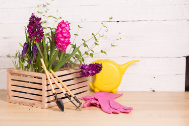 Similar image 19199915