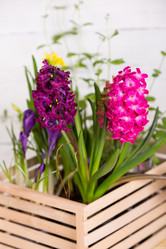 Similar image 19199923