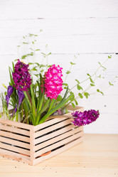 Similar image 19199924