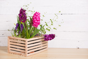 Similar image 19199928