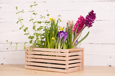 Similar image 19199913