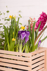 Similar image 19199914