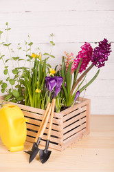 Similar image 19199921