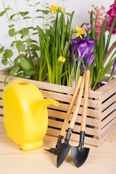 Similar image 19199925