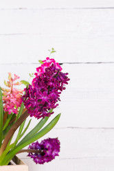 Similar image 19199926