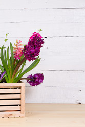 Similar image 19199927