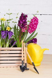 Similar image 19199930