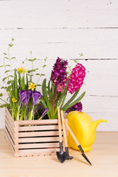 Similar image 19199931