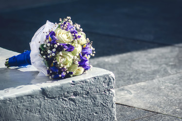 Similar image 19743270