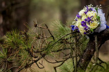 Similar image 19743280