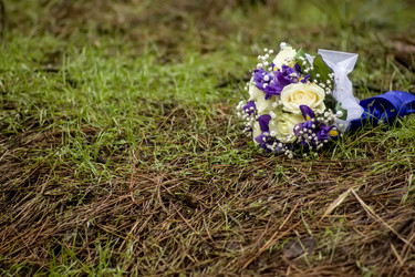 Similar image 19743284