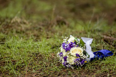 Similar image 19743305