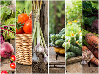 Similar image 19201969