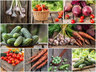 Similar image 19201915