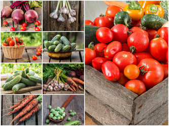 Similar image 19201919