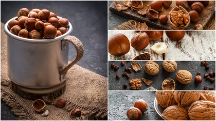 Similar image 19201940