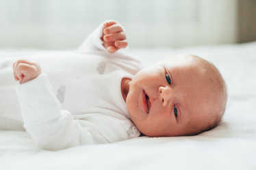 Similar image 19556632