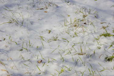 Similar image 19193227