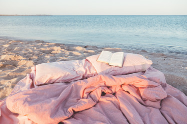 Similar image 19556584