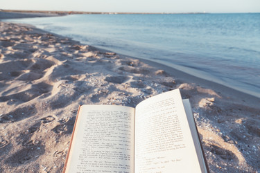 Similar image 19556586