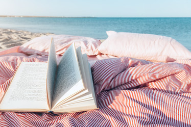 Similar image 19556593