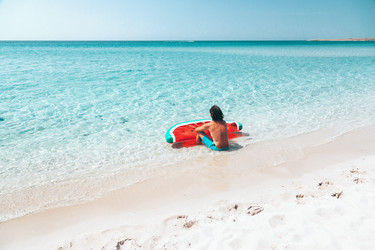 Similar image 19556609