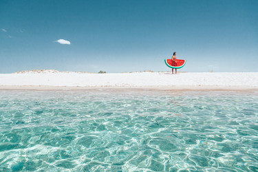 Similar image 19556652