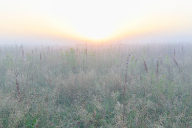 Similar image 19193252