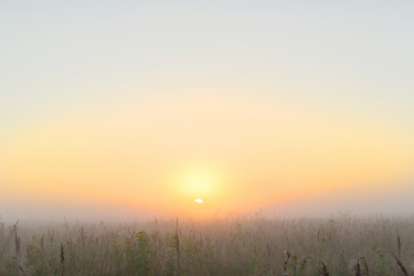 Similar image 19193269