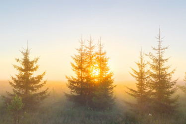 Similar image 19193272