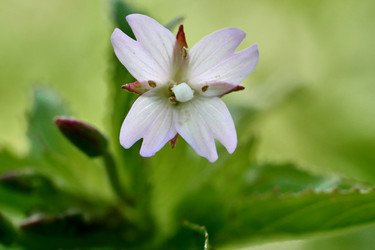 Similar image 19606872