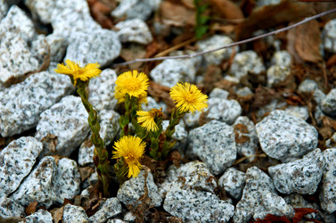 Similar image 19606912