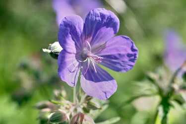 Similar image 19606913