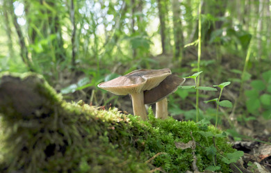 Similar image 19606959