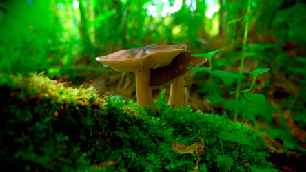 Similar image 19606960