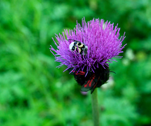 Similar image 19606961