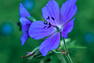 Similar image 19606962