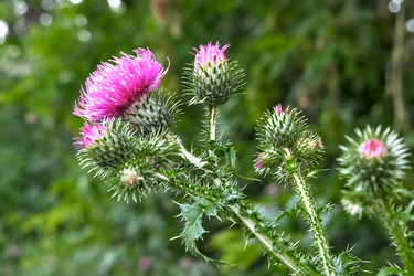 Similar image 19607120