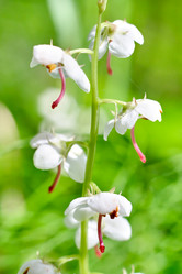 Similar image 19607122