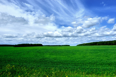 Similar image 19607124